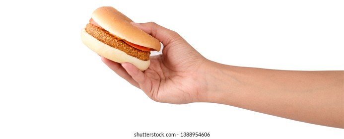 Hands holding a burger, isolated on white background