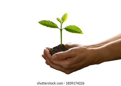 228,489 Dirt on hands Images, Stock Photos & Vectors | Shutterstock