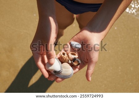 A child’s hands holding a collection of seashells while standing on a sandy beach. The sunlight highlights the textures and colors of the shells, symbolizing summer and beach activities.