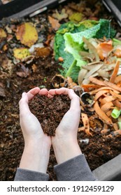 hands holding compost above the composter with organic waste - Shutterstock ID 1912459129