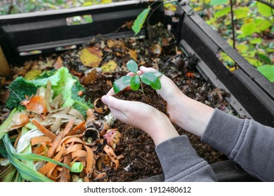 hands holding compost above the composter with organic waste - Shutterstock ID 1912480612