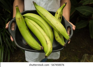 hands holding  cook bananas - regional tropical fruits in a try