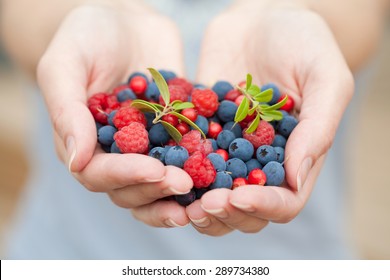 hands holding fresh berries