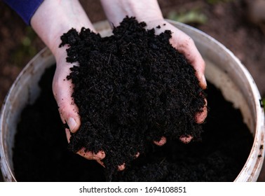 Hands Holding Fresh Home Made Compost Soil