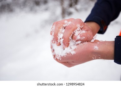 Hands Holding Fresh Snow, Man Making Snowball