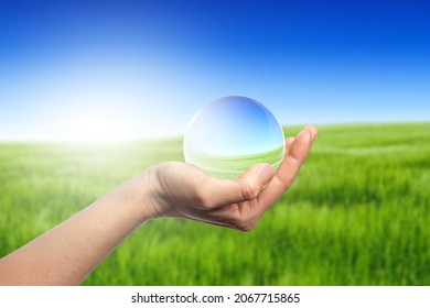 Hands Holding Globe Glass In Green Grass Field - Environment Concept