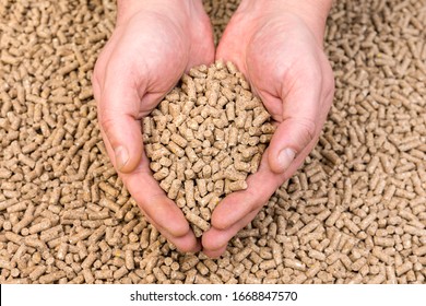 Hands Holding Granules Of Animal Feed