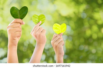 Hands holding green heart shaped tree, planting trees, loving the environment, protecting nature Nourishing the plants World Environment Day To help the world look beautiful, Forest conservation conce