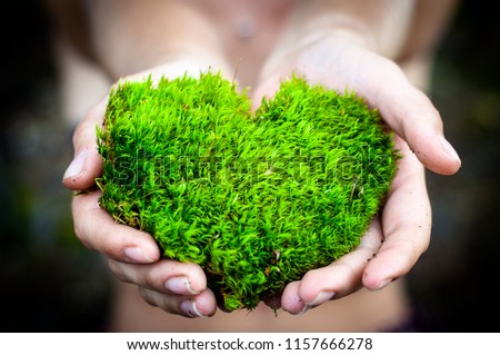 hands holding green heart shaped love nature save the world heal the world environmental preservation