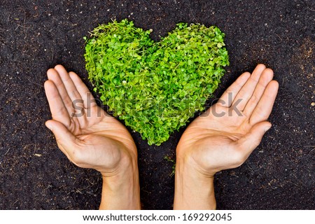 Hands holding green heart shaped tree  / Love nature and save the world / Heal the world / Environmental preservation