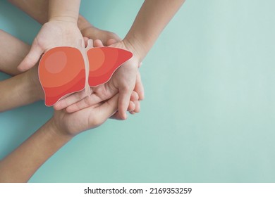 Hands holding healthy liver, organ donation, hepatitis vaccination, liver cancer treatment, world hepatitis day