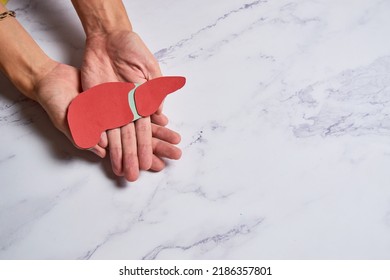 Hands Holding Healthy Liver, Organ Donation, Hepatitis Vaccination, Liver Cancer Treatment,