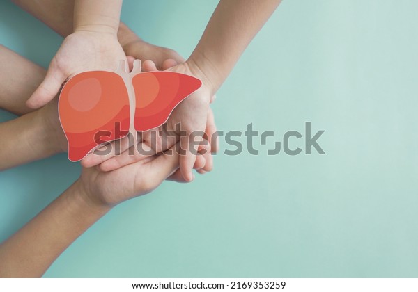 Hands holding\
healthy liver, organ donation, hepatitis vaccination, liver cancer\
treatment, world hepatitis\
day
