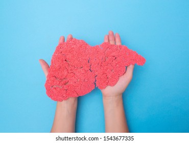 Hands Holding A Human Liver From Plasticine On A Blue Background. The Concept Of A Healthy Liver Transplant. Donation