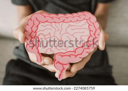 hands holding intestine shape, healthy bowel digestion, leaky gut, probiotic and prebiotic for gut health, colon, gastric, stomach cancer concept