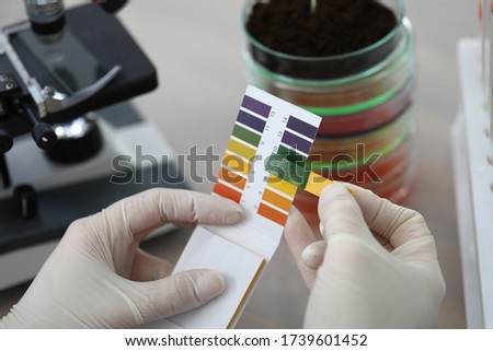 Hands holding litmus test paper for soil analysis. Litmus paper shows acidity, chemical analysis. Soil sampling for ph test. Strips and scraps filter paper tape. Accurate measurement results