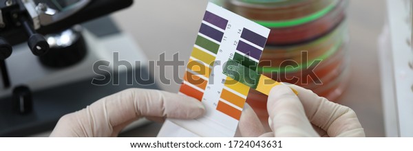 Hands holding litmus test paper for soil\
analysis. Litmus paper shows acidity, chemical analysis. Soil\
sampling for ph test. Strips and scraps filter paper tape. Accurate\
measurement results