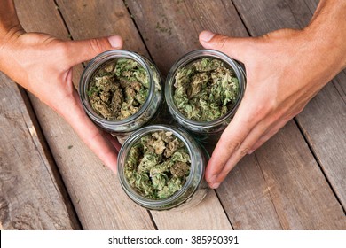 Hands Holding Marijuana Buds In Glass Jars