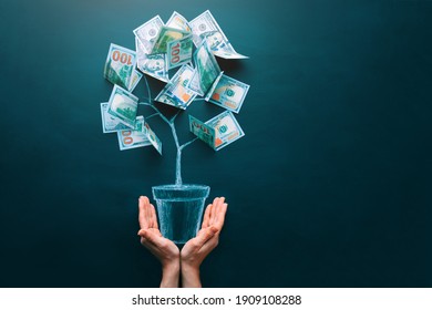 Hands Holding Money Tree Made By Us Dollar Bills. Business, Saving, Growth, Economic Concept. Investors Strategy, Funding Symbol. Copy Space.