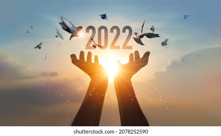 Hands holding of new year 2022 silhouette with flying of free bird enjoying nature on sunset background, Happy New Year concept. 