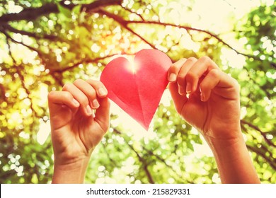 Hands Holding Paper Heart 