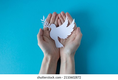 Hands holding a paper white pigeon on a blue background. World Peace Day. World Science Day for Peace and Development