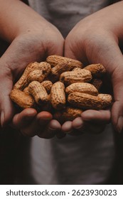 Hands holding peanuts in shell. Close-up. Vertical background