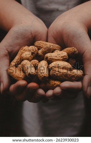 Hands holding peanuts in shell. Close-up. Vertical background