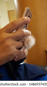 Hands Holding A Phone With A Rabbit's Foot.