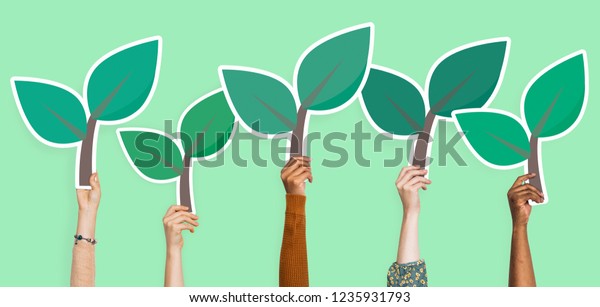 hands holding plant leaves clipart stock photo edit now 1235931793 https www shutterstock com image photo hands holding plant leaves clipart 1235931793