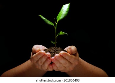 Hands Holding Plant In Soil On Black