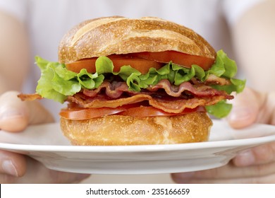 Hands Holding A Plate Of BLT Sandwich.