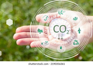 Hands Holding And Protecting Planet Earth, Carbon Neutral Bussiness Concept, Climate Positive And Net Zero Carbon Emissions