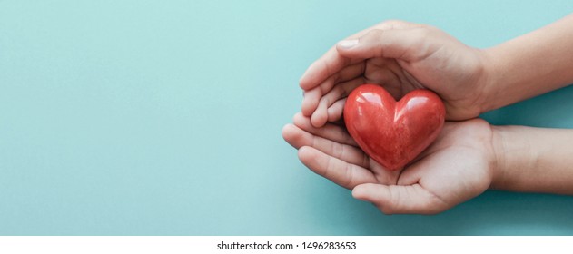 Hands Holding Red Heart, Health Care, Love, Organ Donation, Mindfulness, Wellbeing, Family Insurance And CSR Concept, World Heart Day, World Health Day, World Mental Health Day, Praying Concept