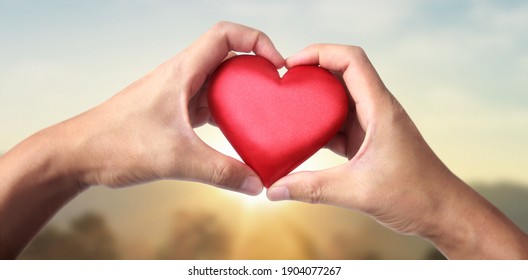 Hands holding a red heart. heart health donation concepts