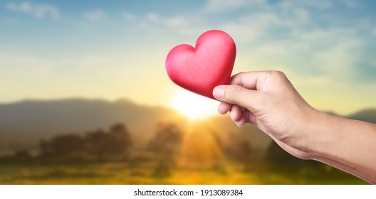 Hands holding a red heart. heart health donation concepts