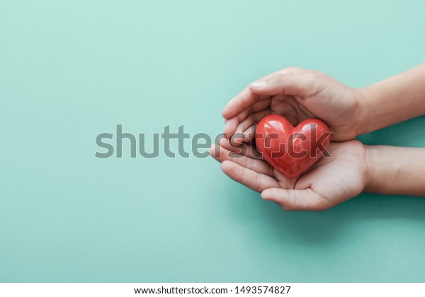 hands holding red heart, health care, hope, love,\
organ donation, mindfulness, wellbeing, family insurance and CSR\
concept, world heart day, world health day, National Organ Donor\
Day, praying concept
