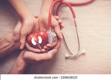 Hands Holding Red Heart And Kidney With Stethoscope, World Kidney Day, Organ Donor Day