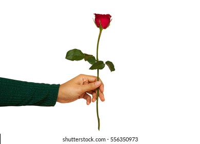 194,357 Holding a rose Images, Stock Photos & Vectors | Shutterstock