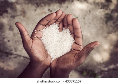 Hands holding rice - Shutterstock ID 433891159