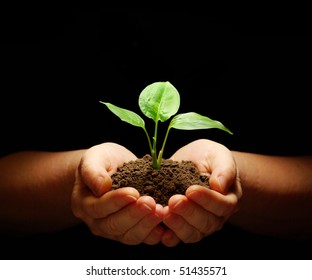 Hands holding sapling in soil on black - Powered by Shutterstock