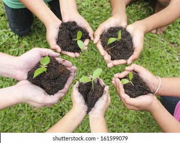 Hands holding sapling in soil surface 