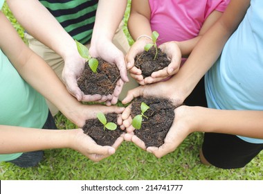 Hands Holding Sapling Soil Surface Stock Photo 161599079 | Shutterstock