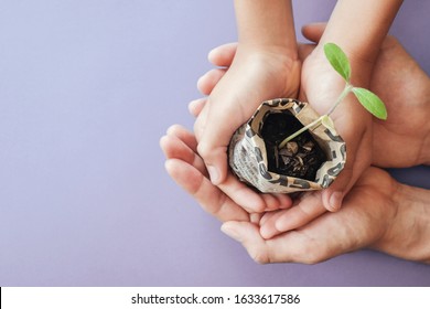 Hands Holding Seedling Plants In Newspaper Pot,montessori Education , CSR Social Responsibility, Eco Green Sustainable Living, Reuse, Zero Waste, Pastic Free, Responsible Consumption, Eco Emergency