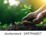 Hands holding seedlings and soil for planting trees on a green background, representing Earth Day concepts and the World environment day. A man