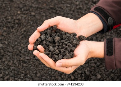 Hands Holding Small Cold Lava Rocks. Etna Volcano, Sicily.