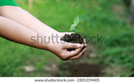 Similar – Hand holds young chili plant