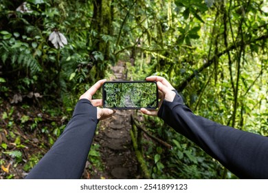 Hands holding smartphone taking photo of beautiful green forest path - Powered by Shutterstock