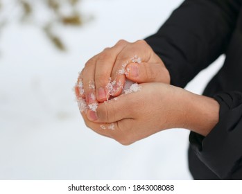 Hands Holding Snow, Making Snowball