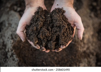 Hands holding soil in agricultural field
